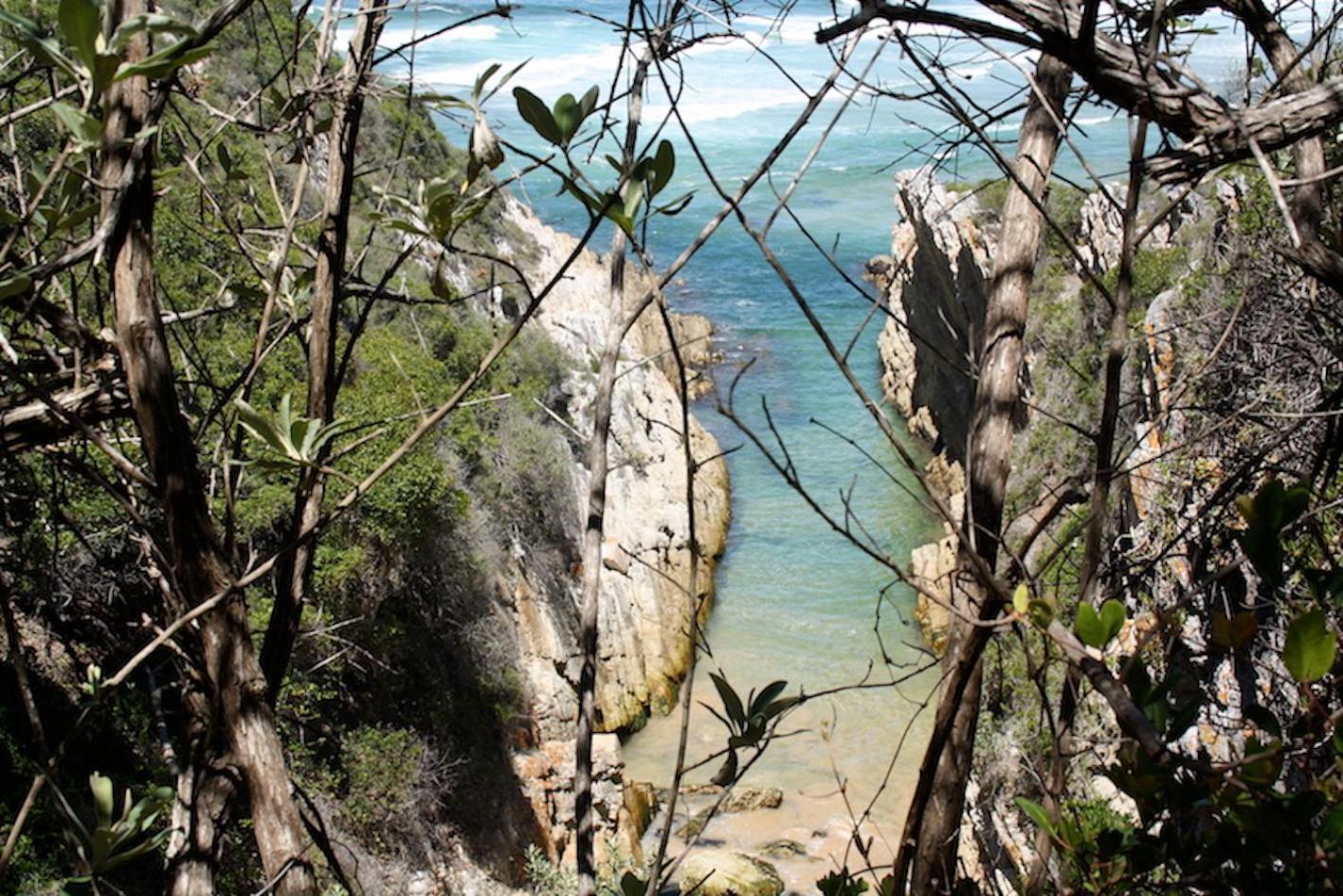 Natures Valley Bnb Natureʼs Valley 外观 照片